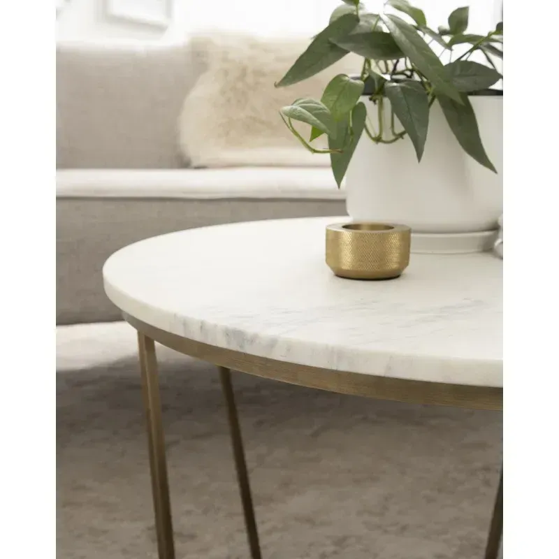 Picture of SL-0017 stainless steel table with electrostatic paint and Wood