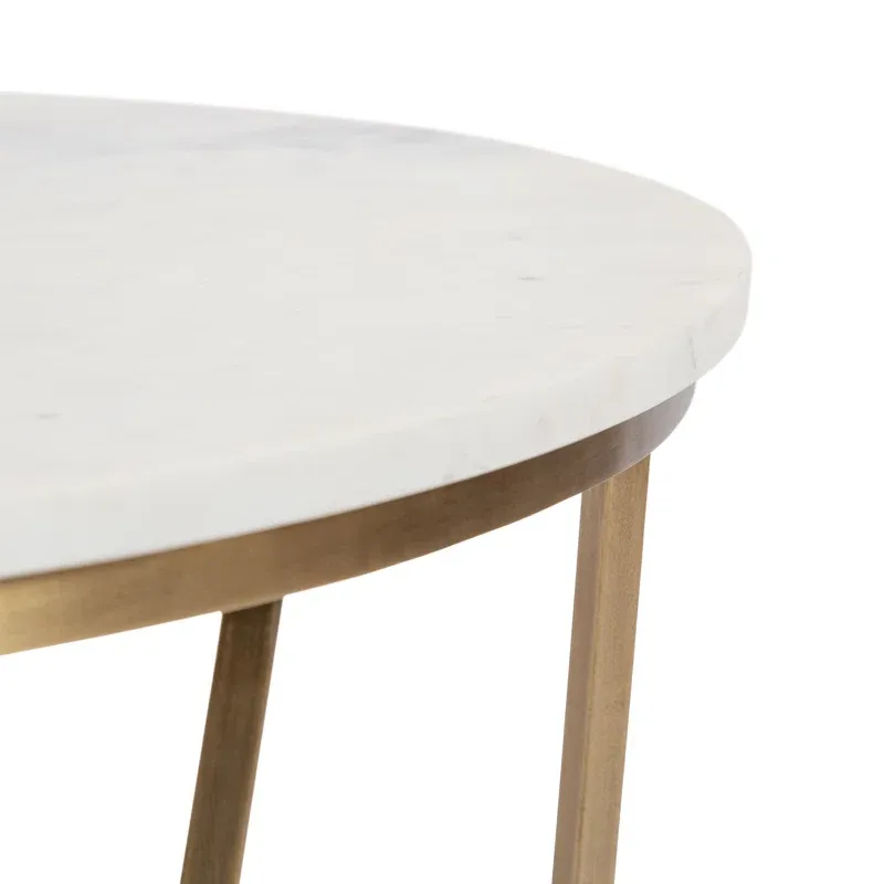Picture of SL-0017 stainless steel table with electrostatic paint and Wood